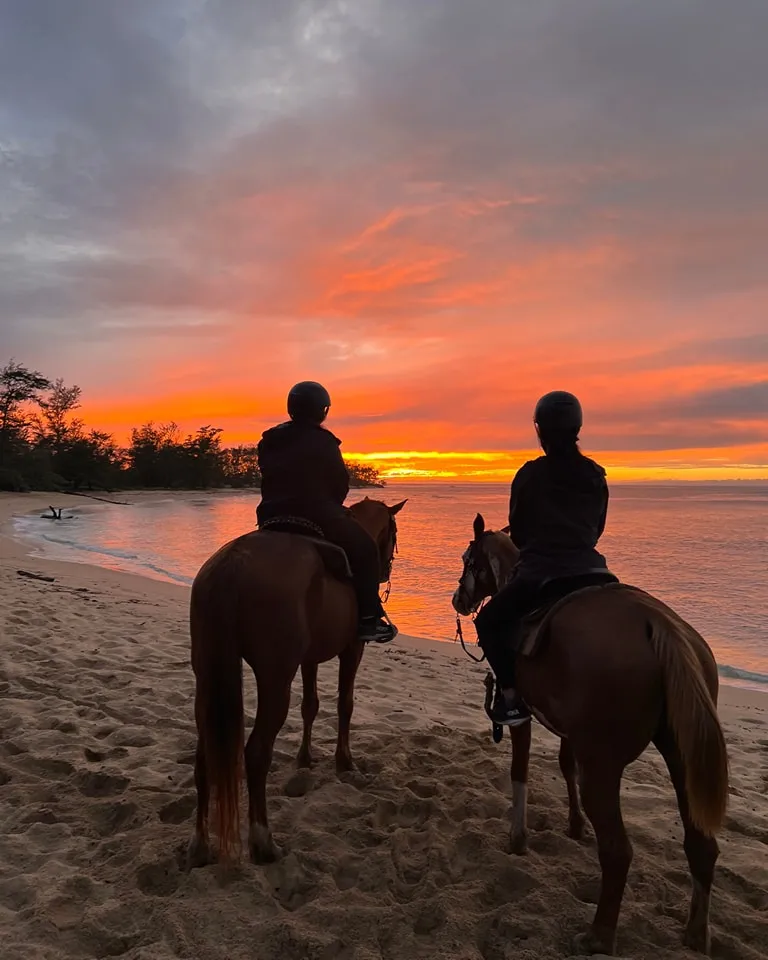 This image is by Hawaii Polo Trail Rides.