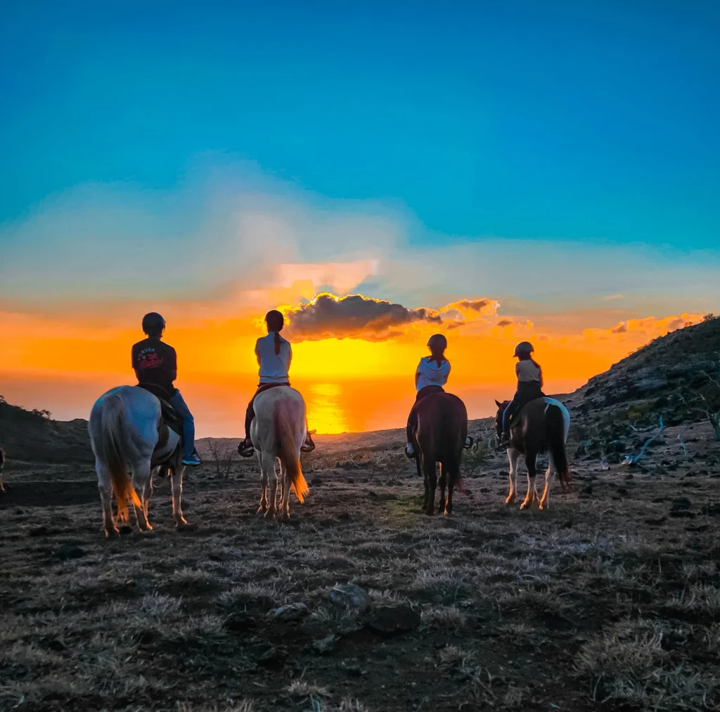 This image is by Hawaii Polo Trail Rides.