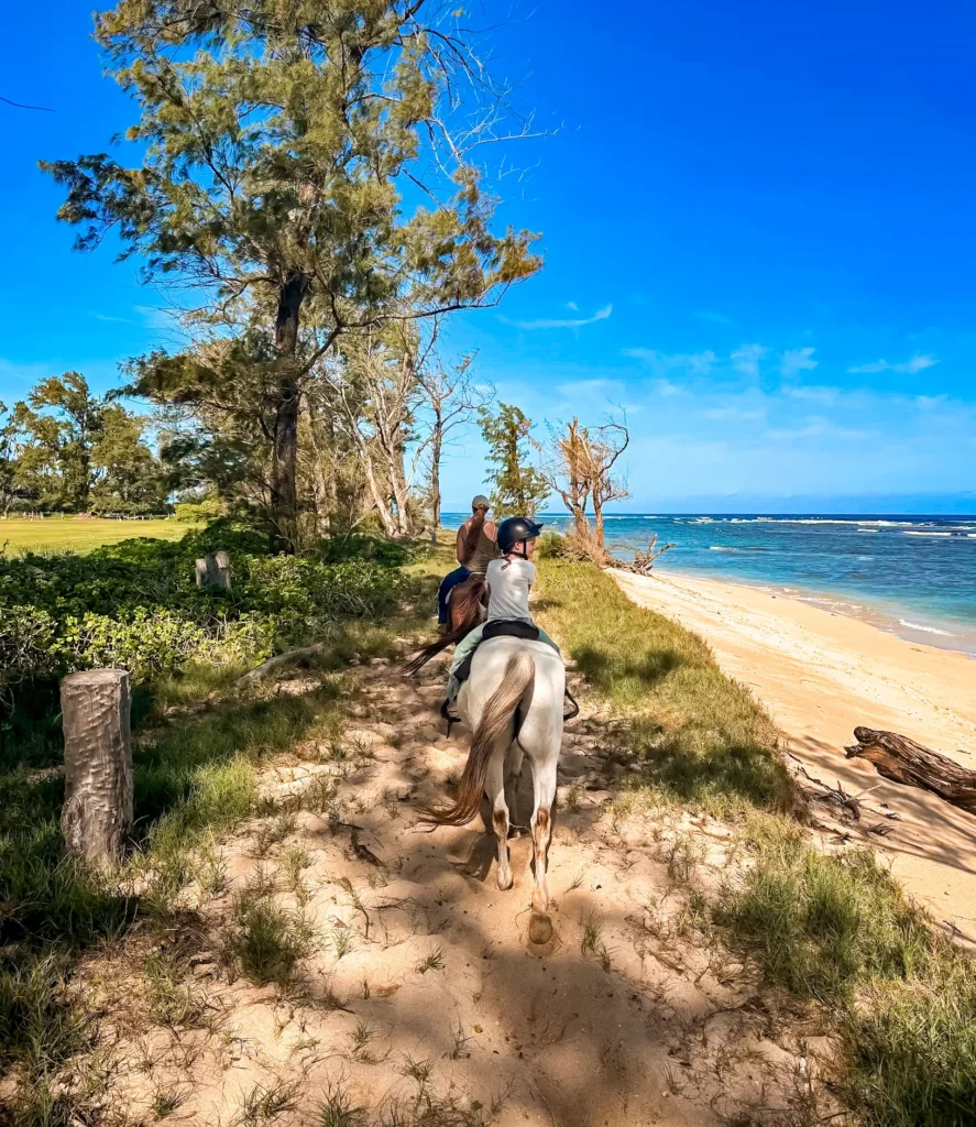 This image is by Hawaii Polo Trail Rides.
