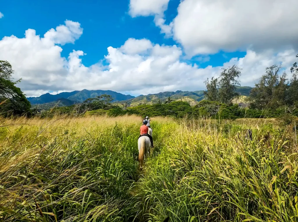 This image is by Hawaii Polo Trail Rides.