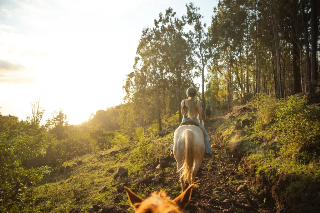 This image is by Hawaii Polo Trail Rides.