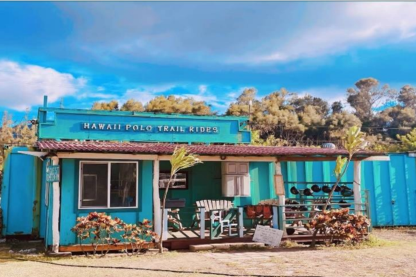 Screenshot-2023-12-29-at-15.14.18