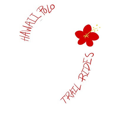 Hawaii Polo Trail Rides