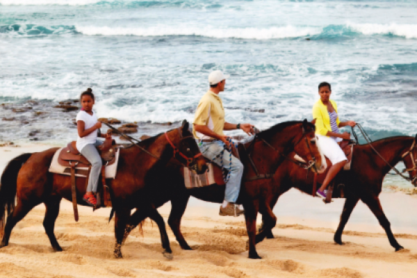 imgi_61_HeRzjYFnf7tKXDzbOiPAAAAAElFTkSuQmCC